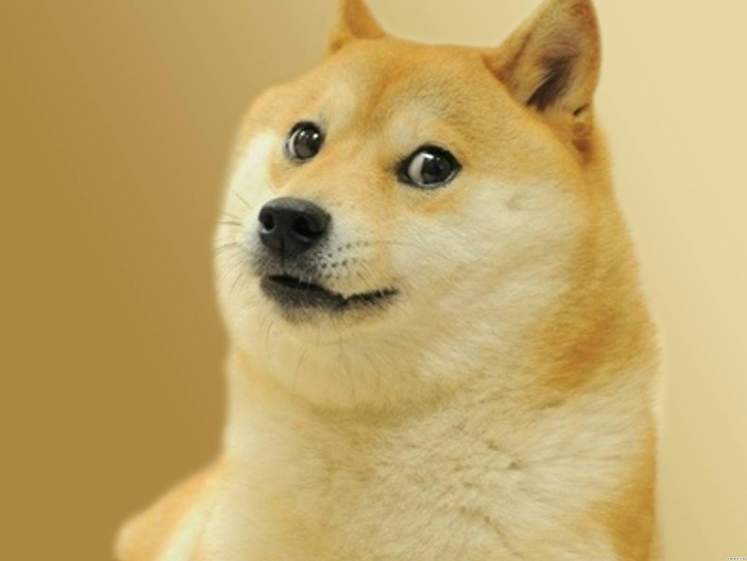 Scientists Are Tickling Rats Because We Don't Understand Laughter | Inverse