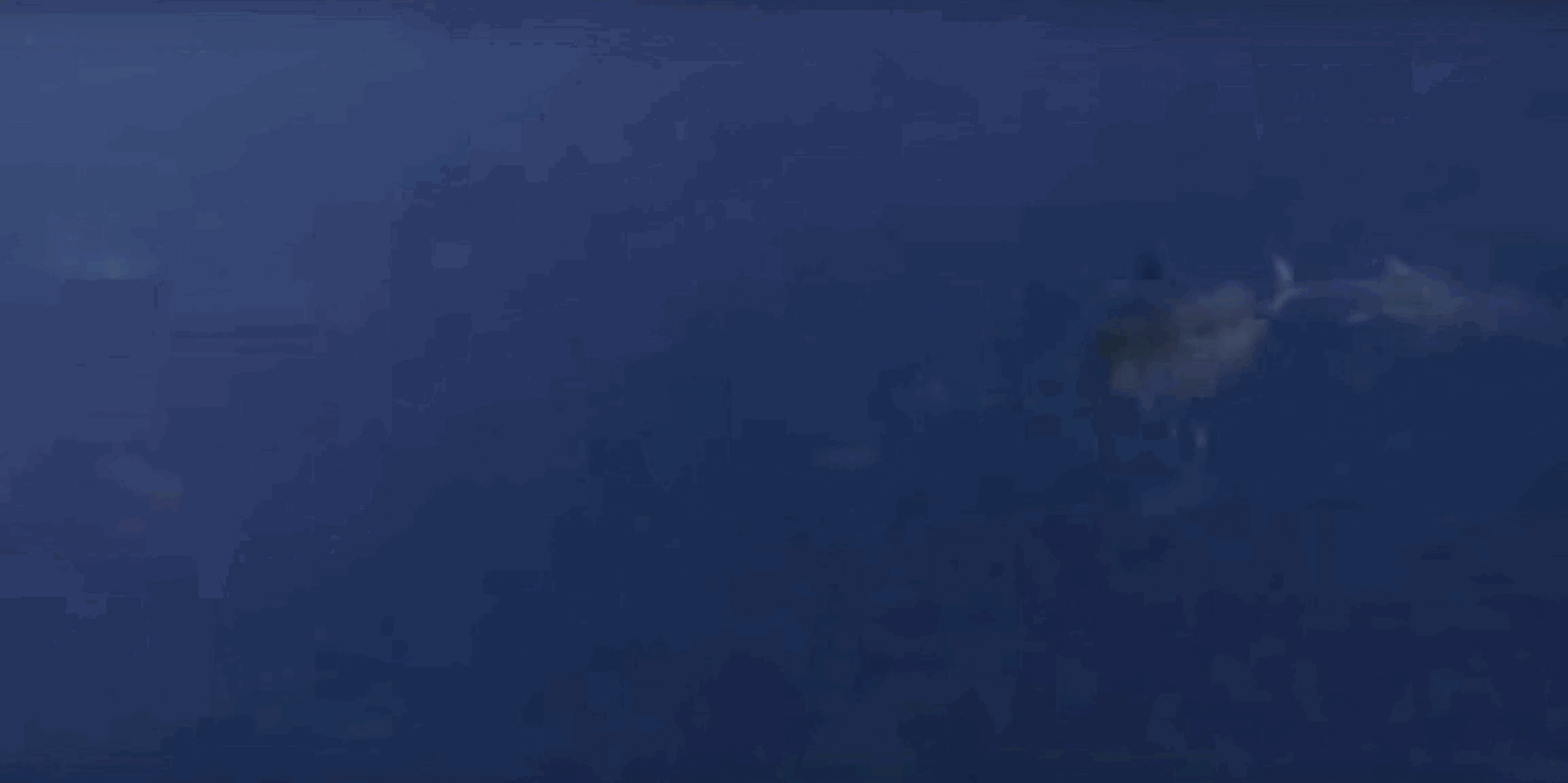 How the 'Steve Irwin' Closed the Gap on Poachers in the Indian Ocean