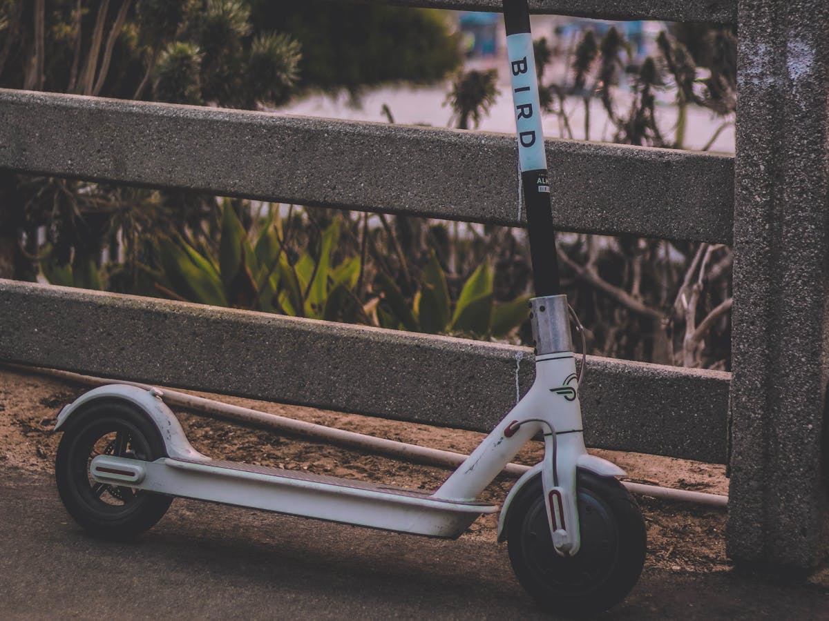 electronic scooter