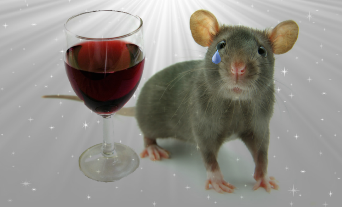 Lab Full of Scared, Drunk Mice Teaches Scientists About Emotional Fear