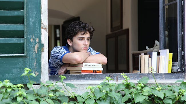 Elio Perlman (Timothée Chalamet) plays a restless 17-year-old boy on the brink of adulthood in 'Call Me by Your Name'.