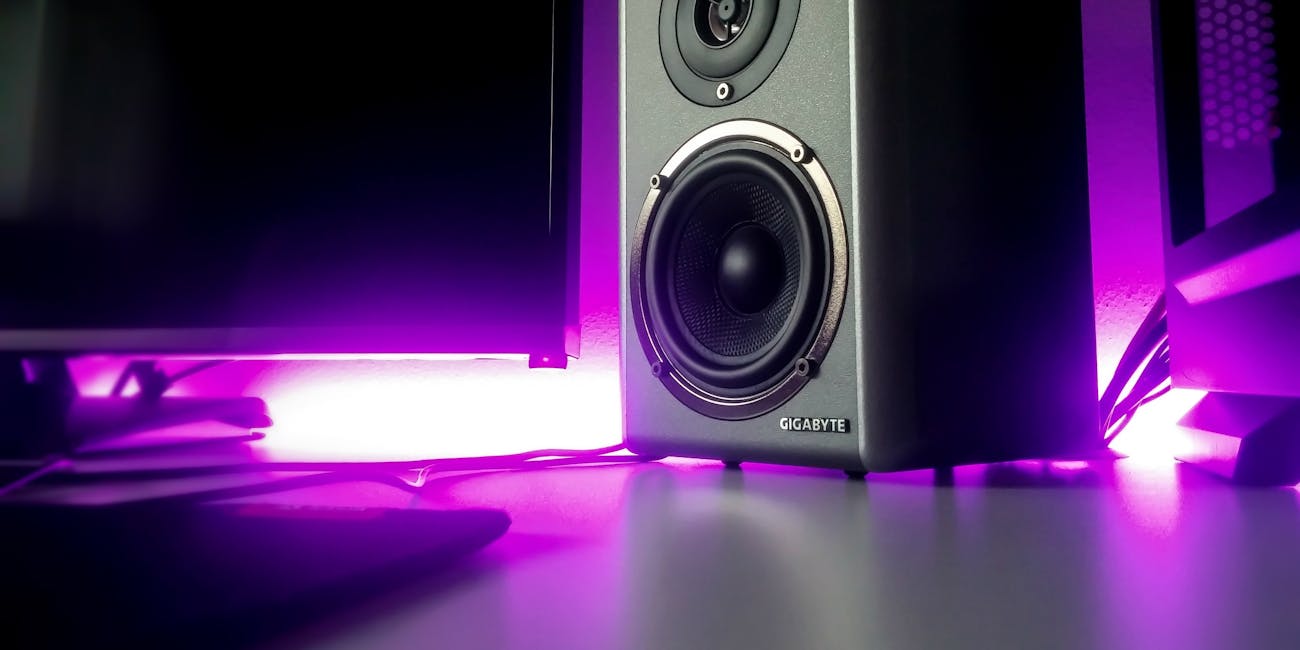 Speaker