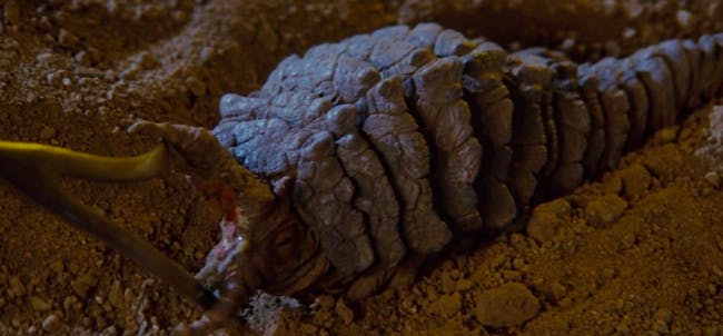 Khan's eel in 'Star Trek II: The Wrath of Khan'