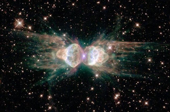 ant nebula