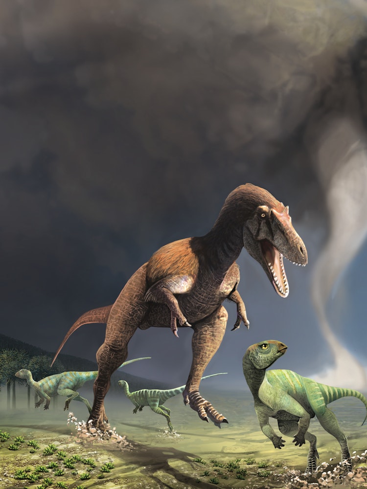 T. Rex Cousin Had Tiny Arms, Too | Inverse