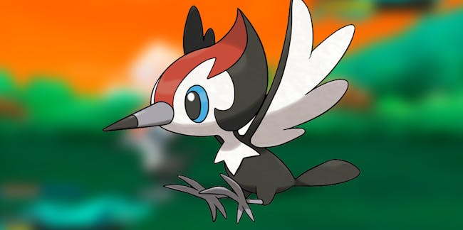Pikipek