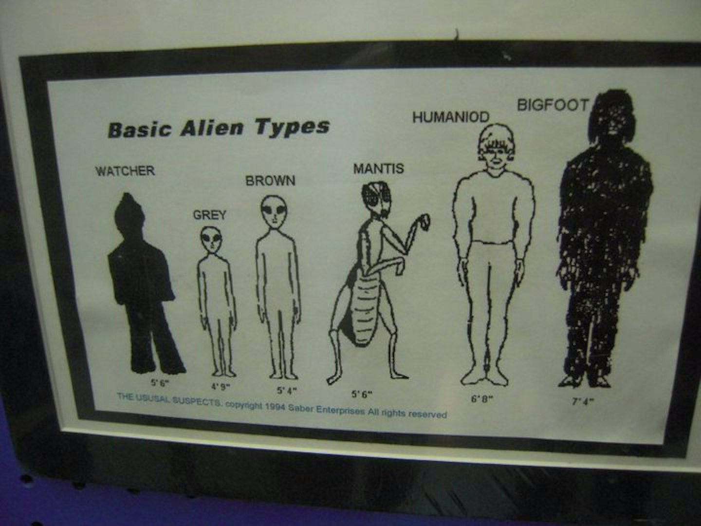 Many, many Festivalgoers reference this guide to extraterrestrial life. “Greys” are the most popular by far.