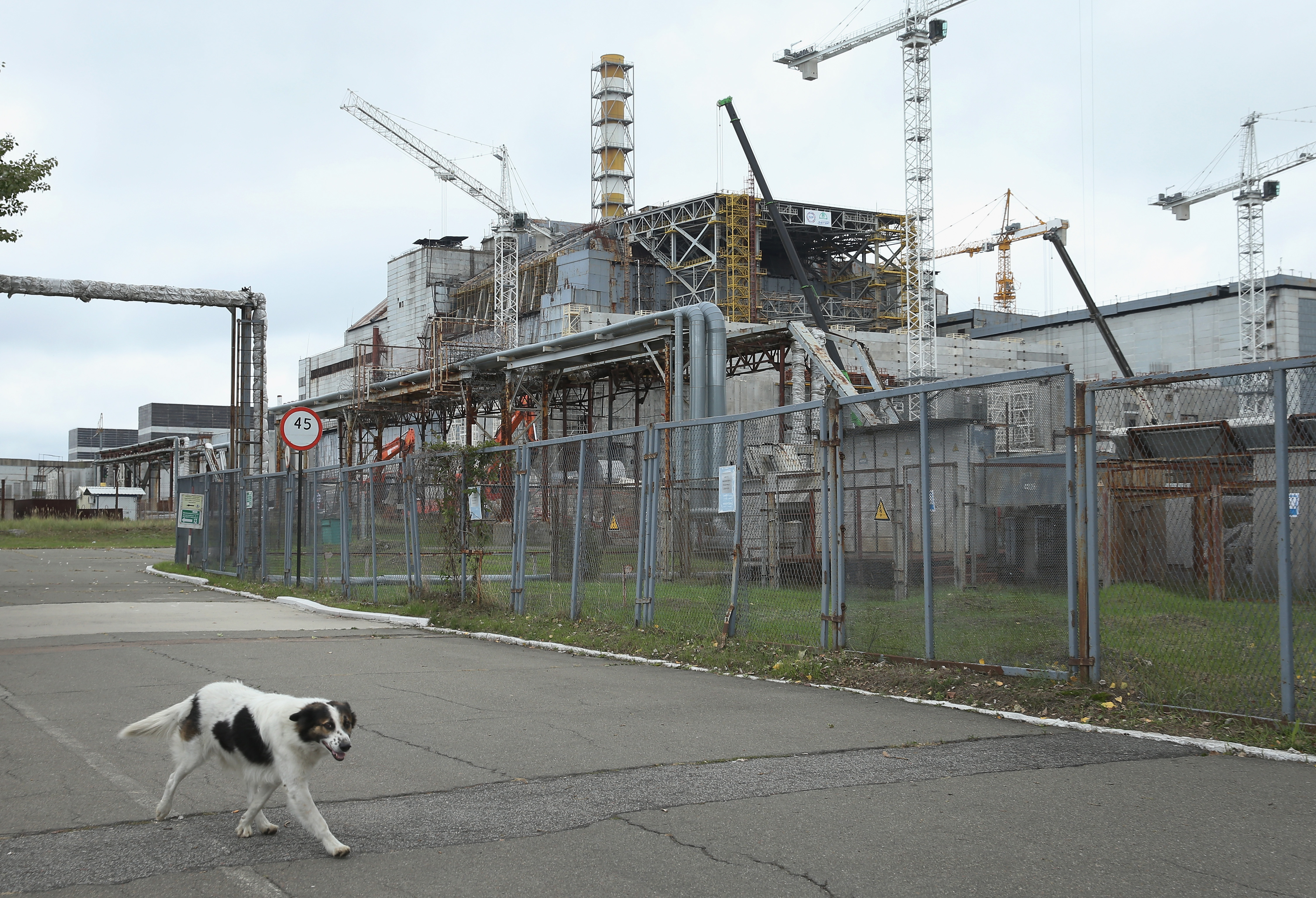 Is Chernobyl Safe? It Depends How You Define "Safe" Inverse