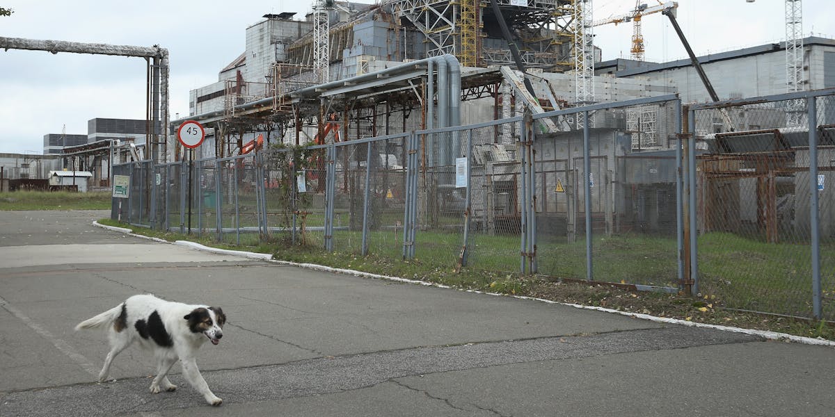 Is Chernobyl Safe? It Depends How You Define "Safe" Inverse