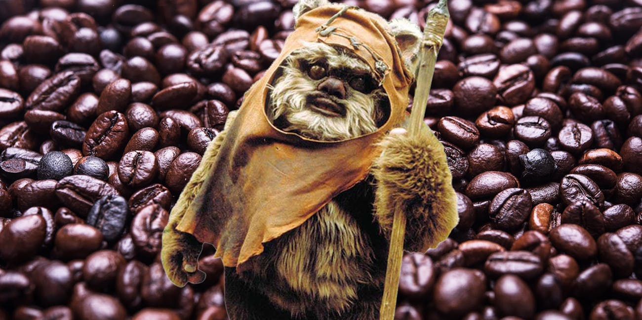 Ewoks Farm Coffee, Apartently