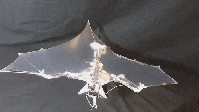 A GIF of Bat Bot shows its range of motion. 
