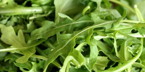 csa share 5/5/10