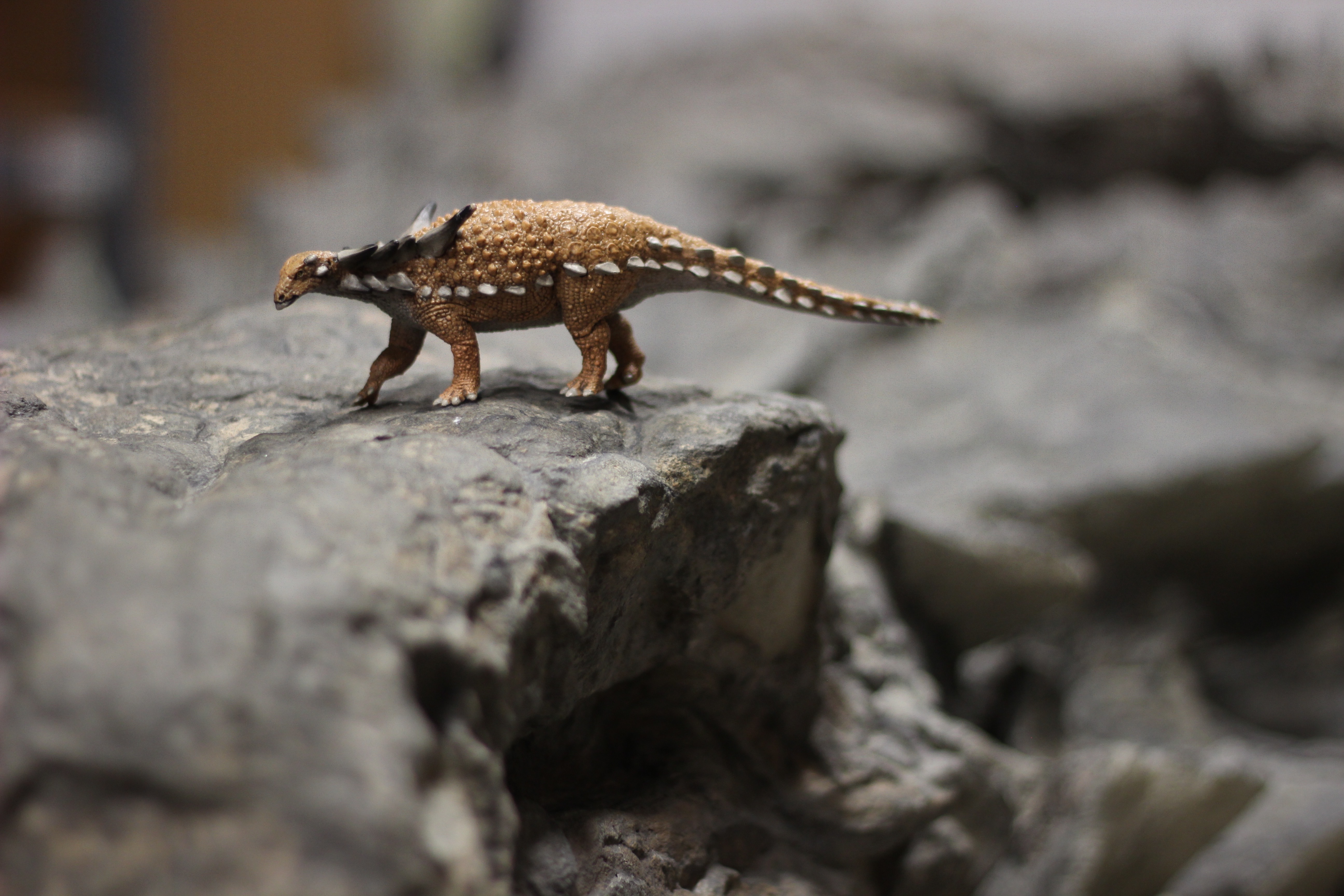 How Alberta s Famous Nodosaur Became So Exquisitely Preserved Inverse