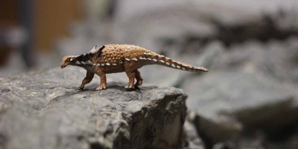 preserved nodosaur