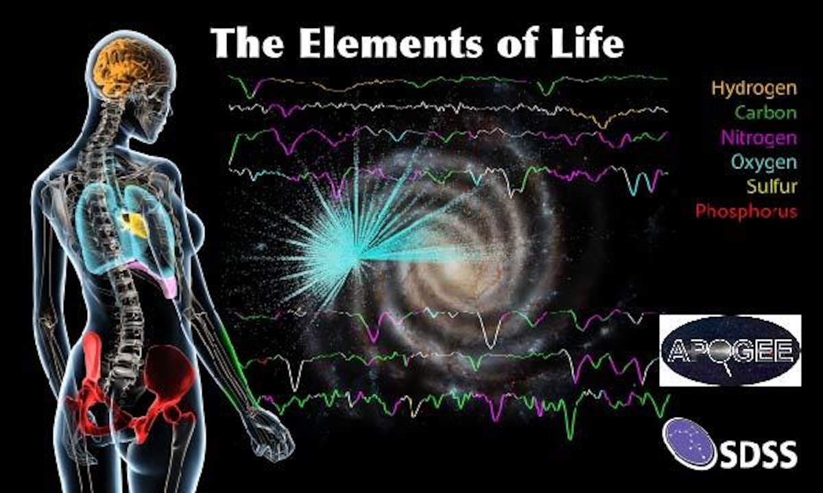 The six most common elements of life as we know it on Earth are carbon, hydrogen, nitrogen, oxygen, sulphur, and phosphorus.
