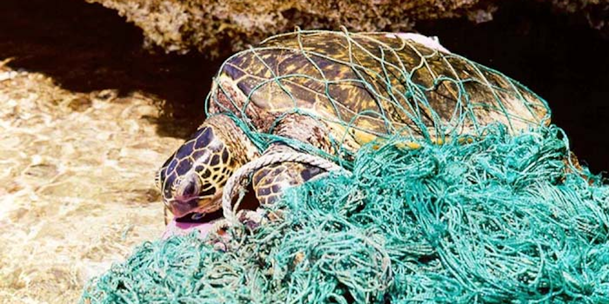 The Great Pacific Garbage Patch Is Officially Twice The