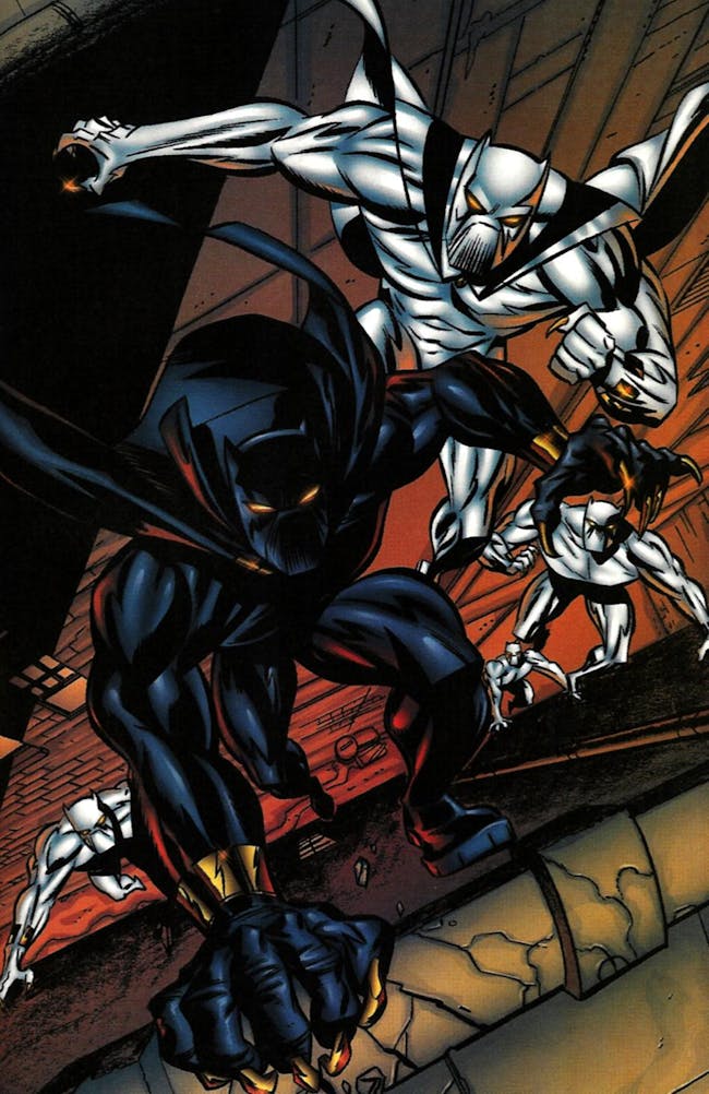 Black Panther Post Credits White Wolf