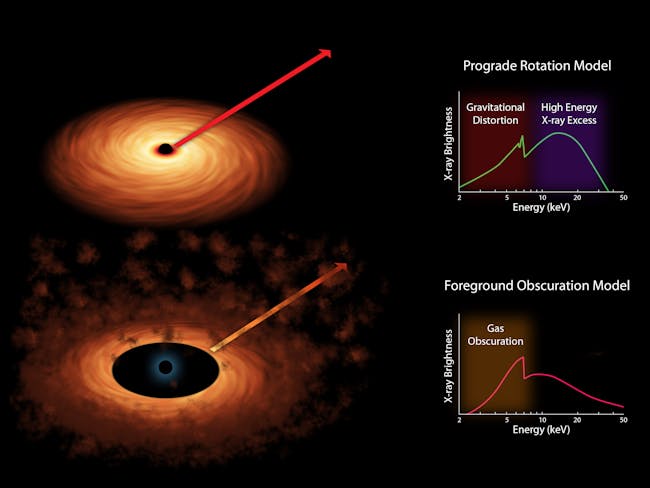 black hole spin