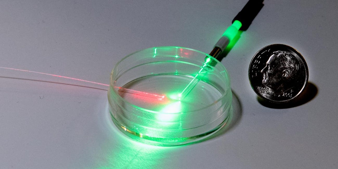 An empty petri dish with two optical fibers. Throw in some cabbage juice, and this is what the research looked like.