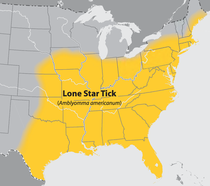 Lone Star Tick Ruins Summer BBQs By Causing Allergy To Meat Inverse   Meat Allergies Seem To Occur In The Same Region Infested By The Lone Star Tick 