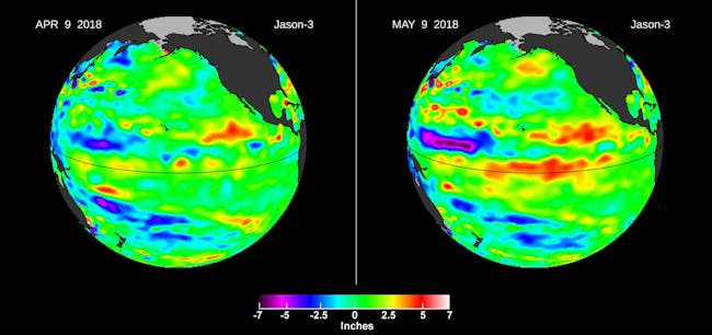 Left, in April, the Jason-3 satellite shows most of the Pacific Ocean at neutral heights (green). In May, a Kelvin wave (red) appears on the equator.