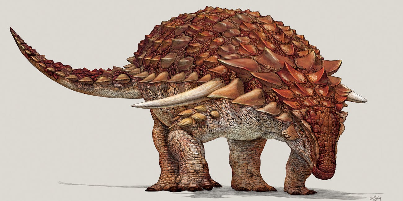 alberta oilsands nodosaur royal tyrrell museum