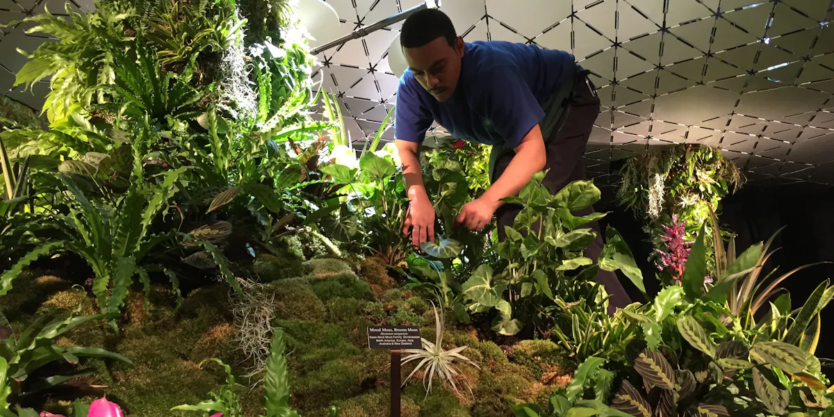 the lowline lab mimics the conditions of the old trolly station