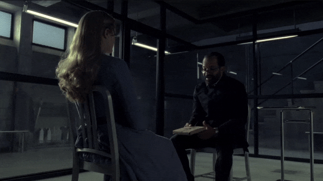 Westworld - The Stray