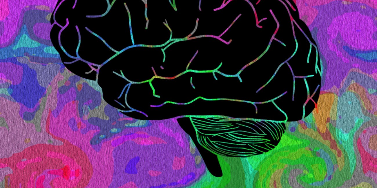 brain