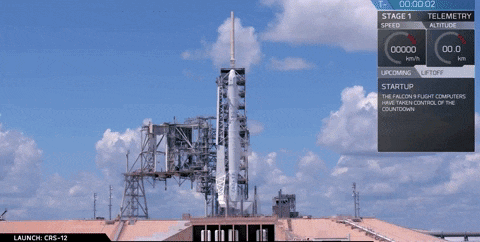 SpaceX Pulls Off a Record 8th Falcon 9 Rocket Landing of the Year | Inverse