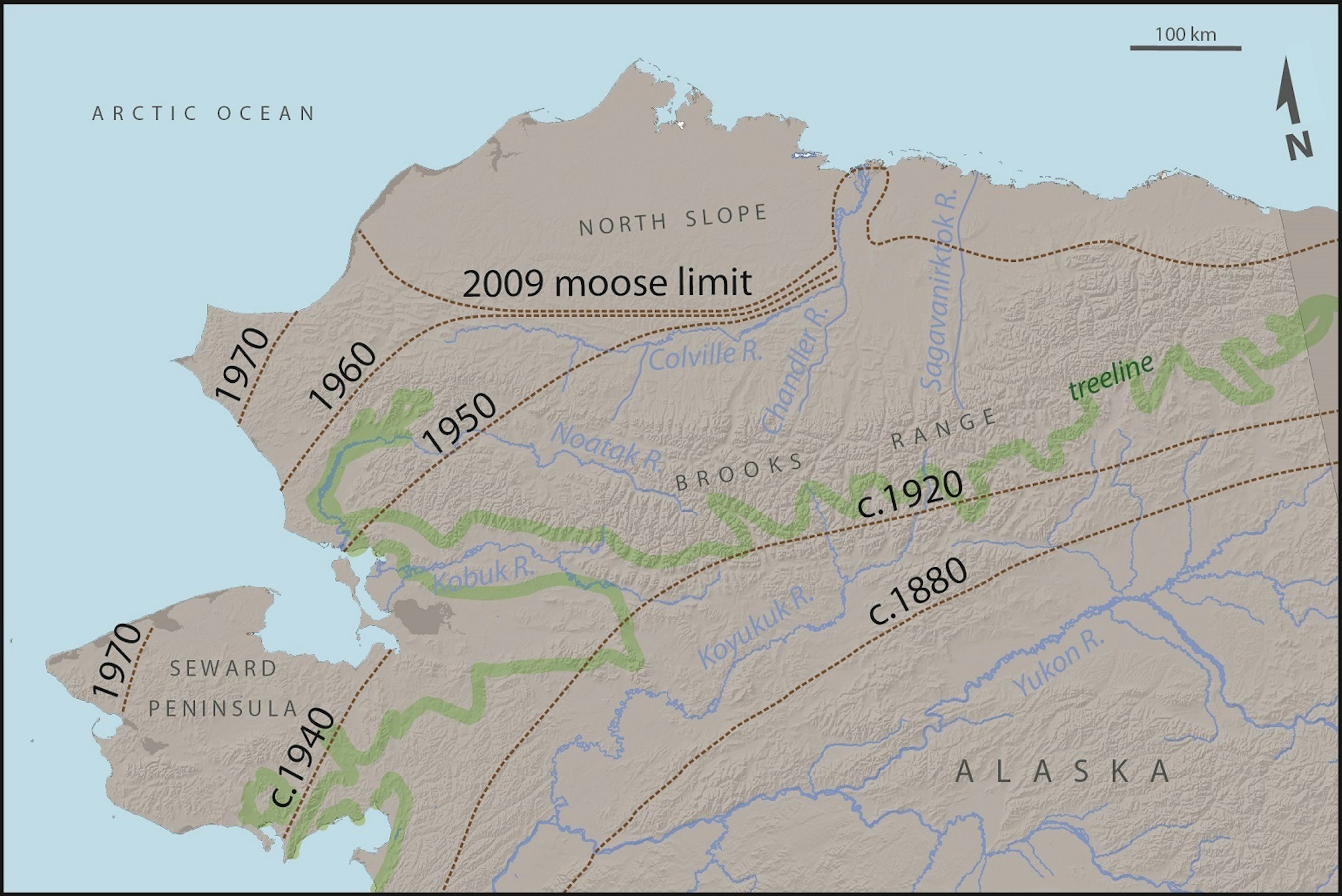 Why More Moose? Climate Change Lets Megafauna Retake Alaska and