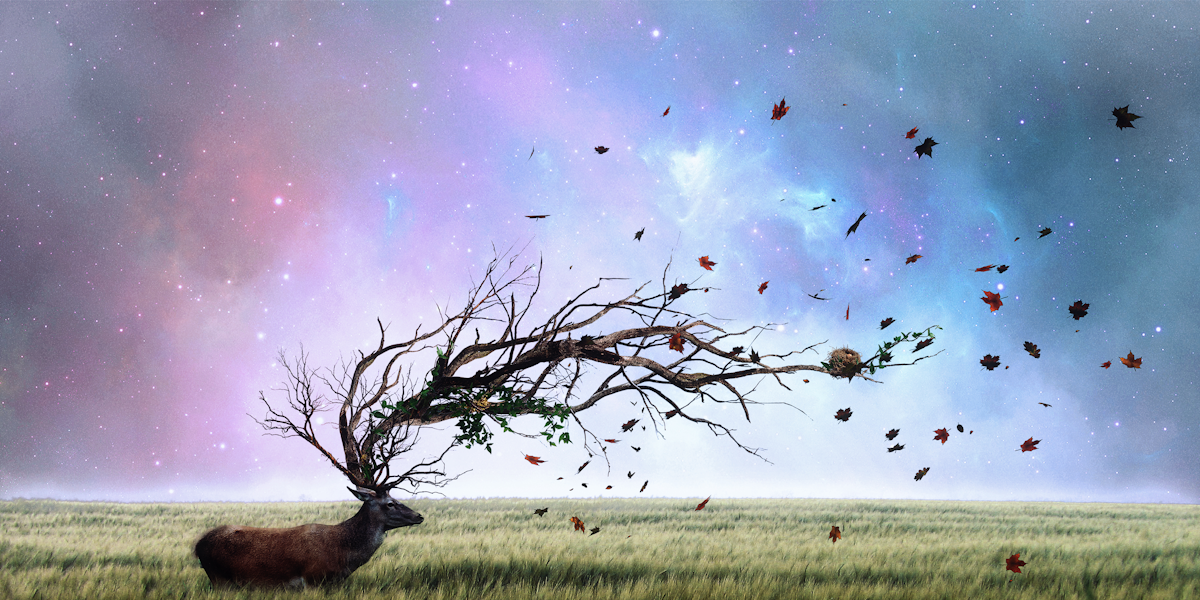 Utopia, Not Dystopia The 13 Most Optimistic Science Fiction Books