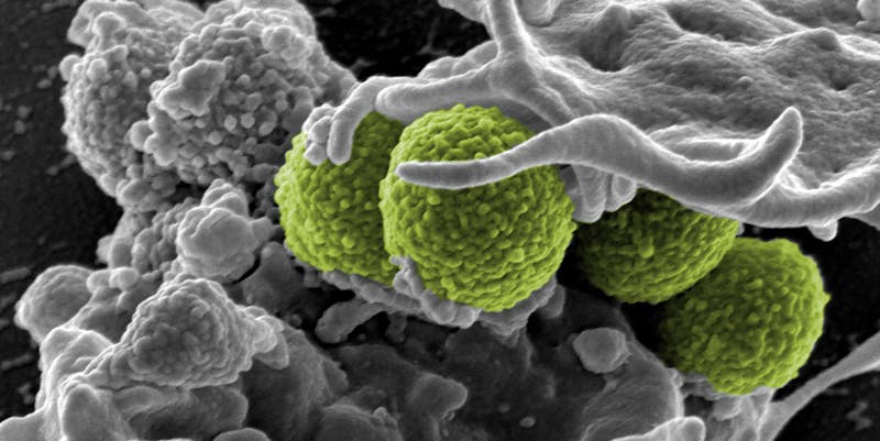 The Best Science Documentaries on Netflix, Ranked