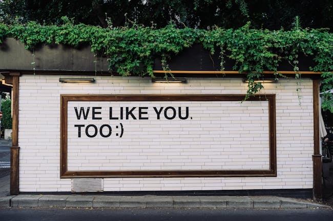 Facebook likes