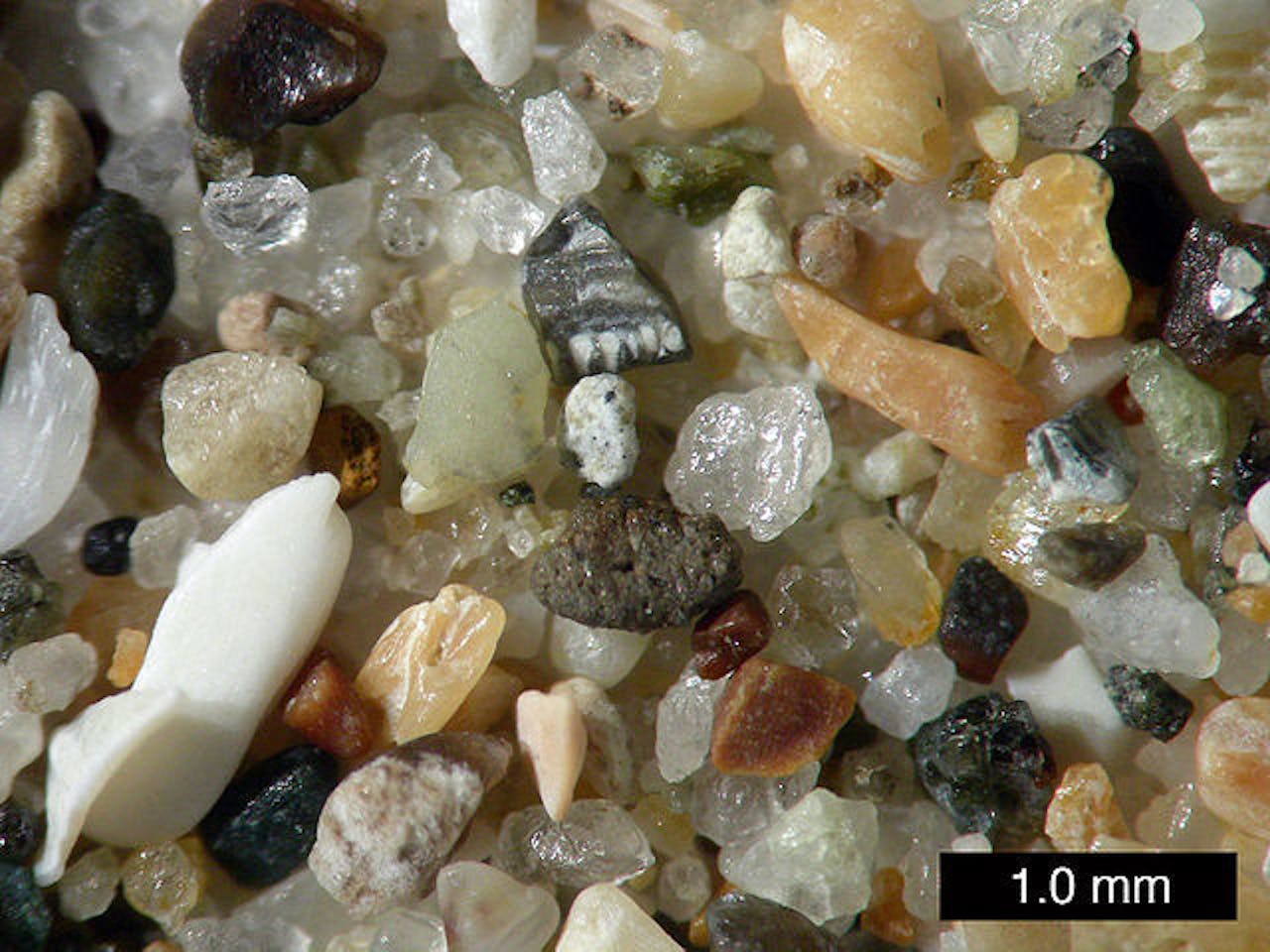 Sand from Pismo Beach, California.