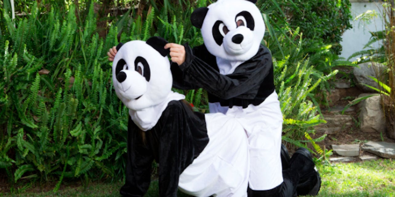 Kung Fu Panda Porn Reading - PornHub Requests Public Help to Save Pandas With Bear Porn ...