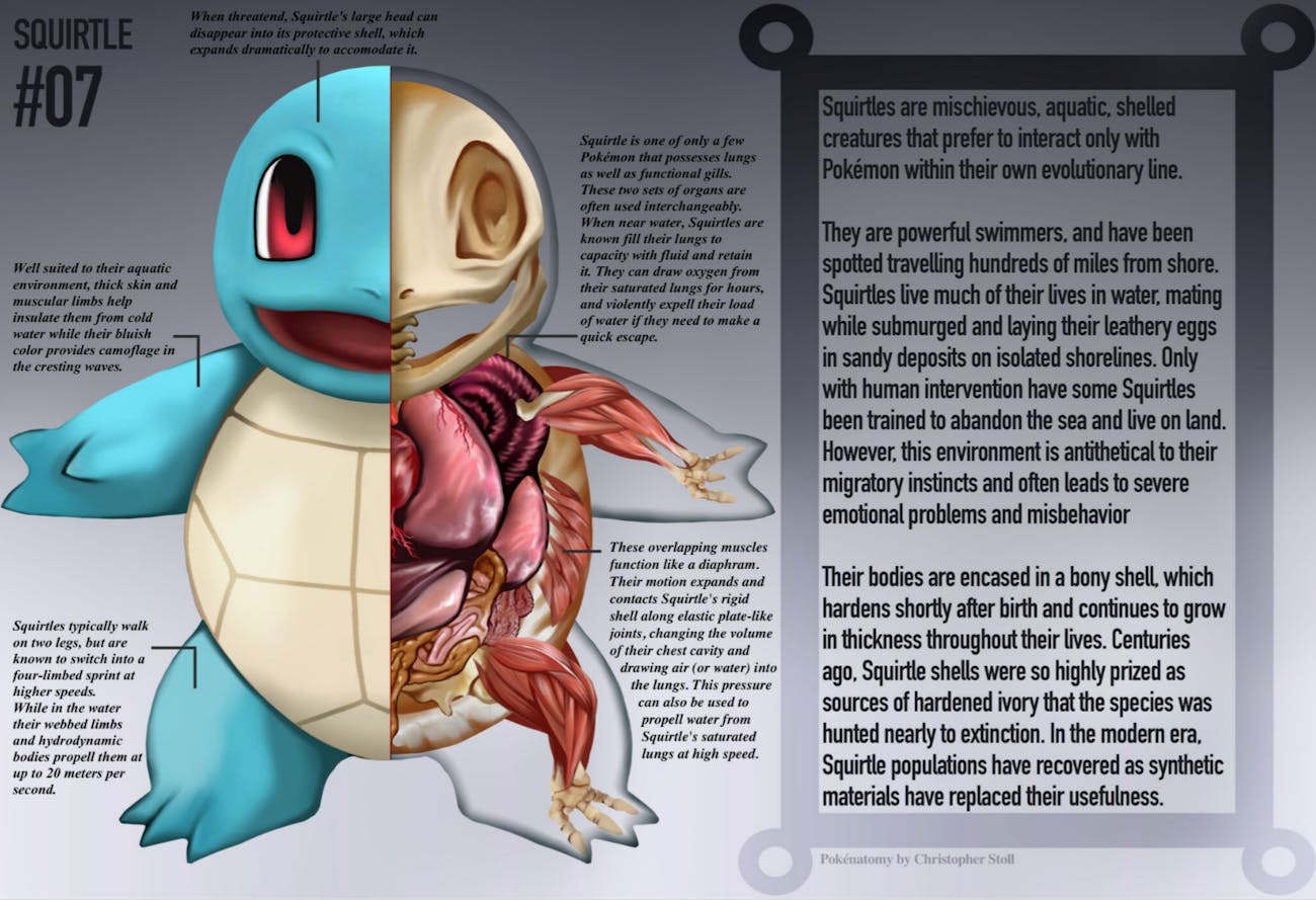 Pokéanatomy Imagines The Innards Of Pokémon Inverse