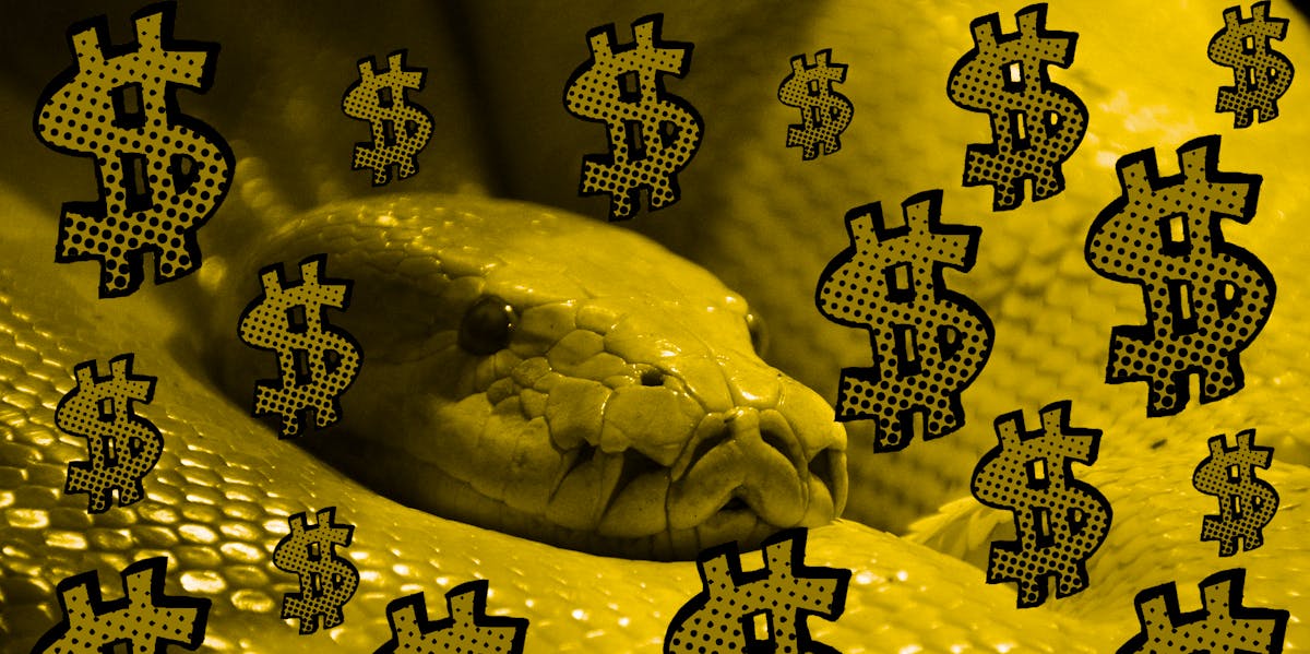 Want to Make Money? Learn Python and Become a Data Scientist | Inverse