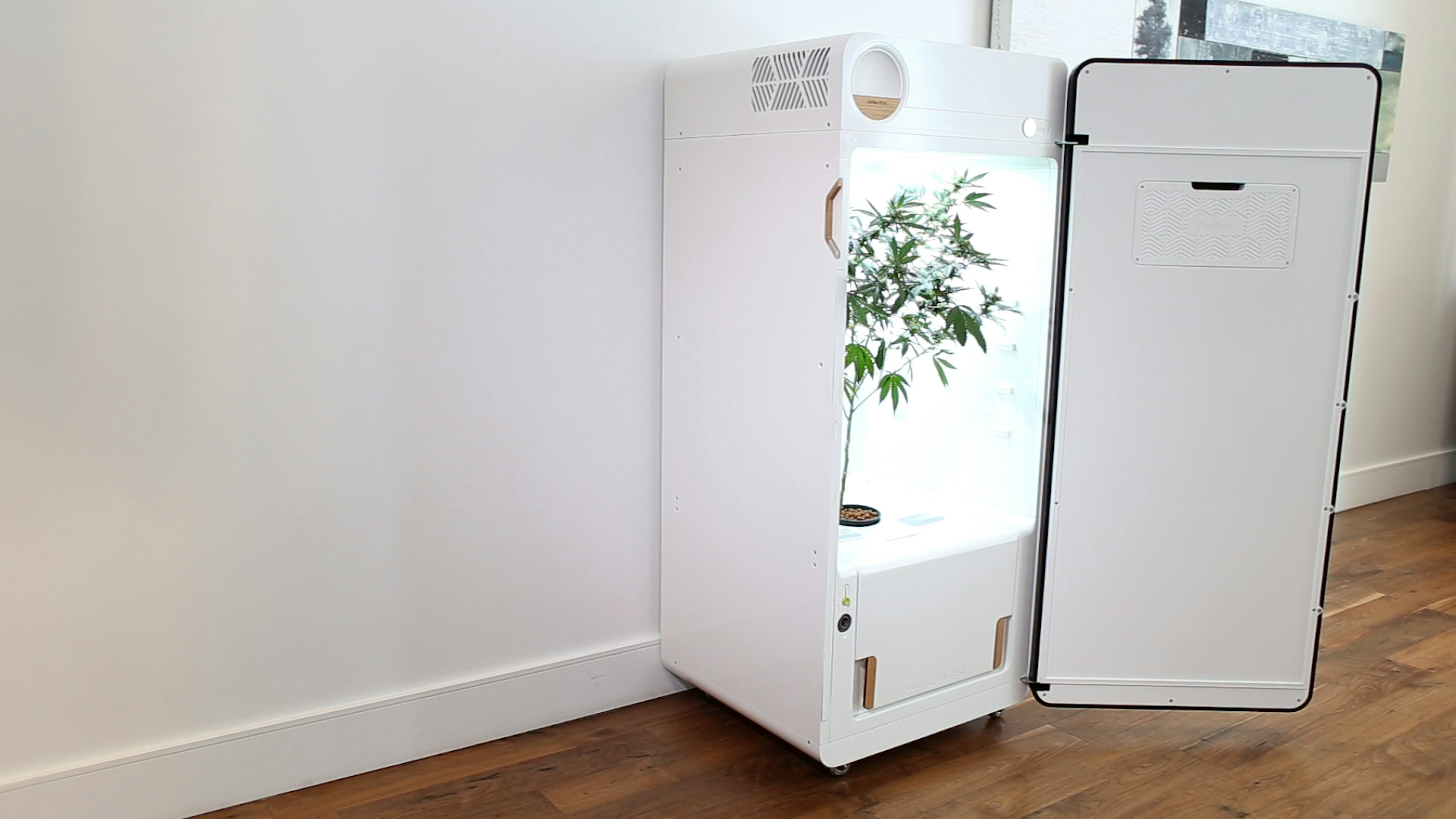 Grow Your Medicinal Weed in this Automated Fridge | Inverse
