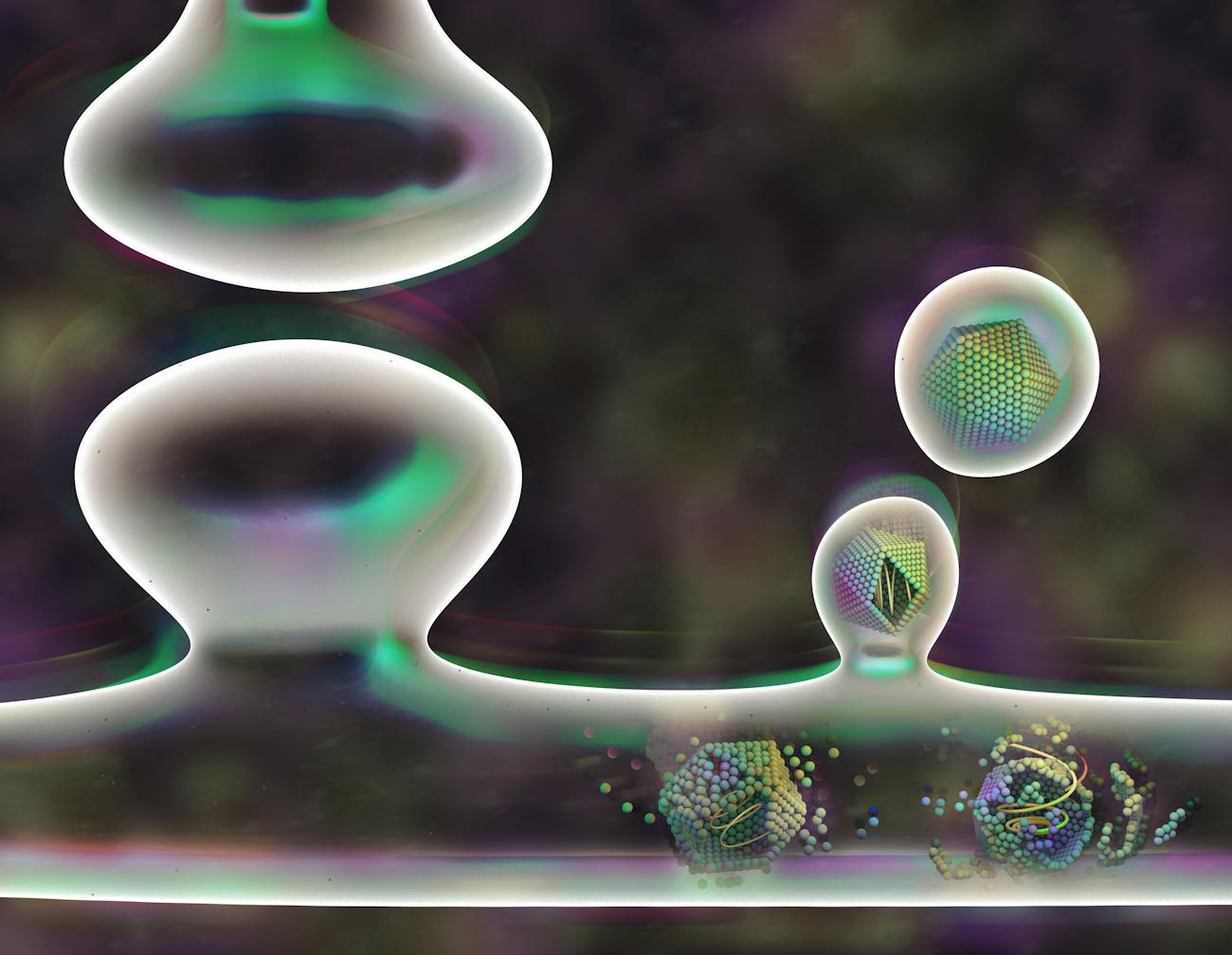 arc "infects" host cells