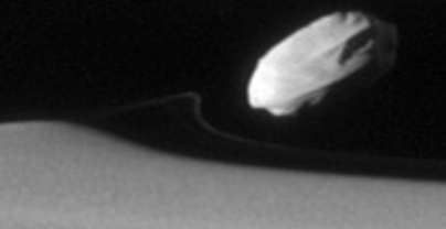 A faint line follows Daphnis which comes from a packet of material Daphnis picked up that is now spreading out