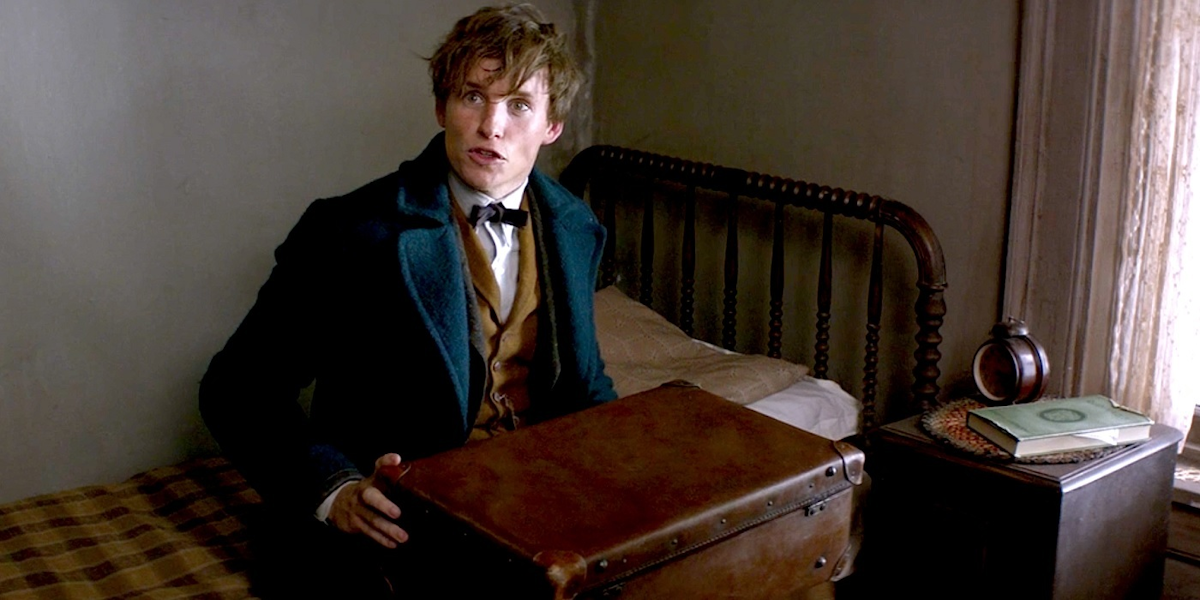 Newt’s 'Fantastic Beasts' Case Contains Entire Habitats | Inverse