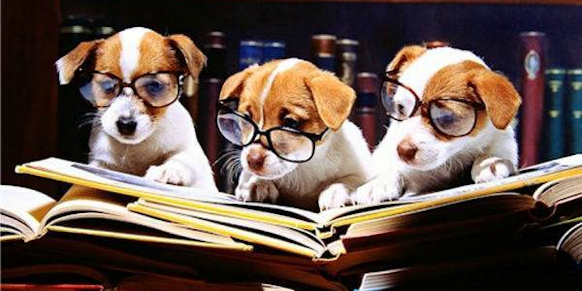 Scientists Improve Childhood Literacy by Making Kids Read to Dogs Inverse