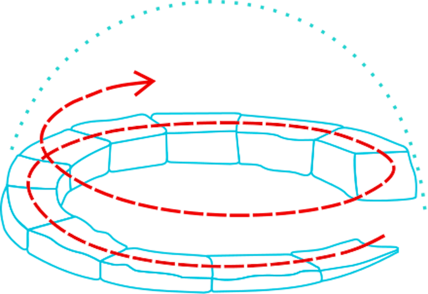 Why Igloos Work Catenoids, Crystal Structures, and the 61Degree Melt