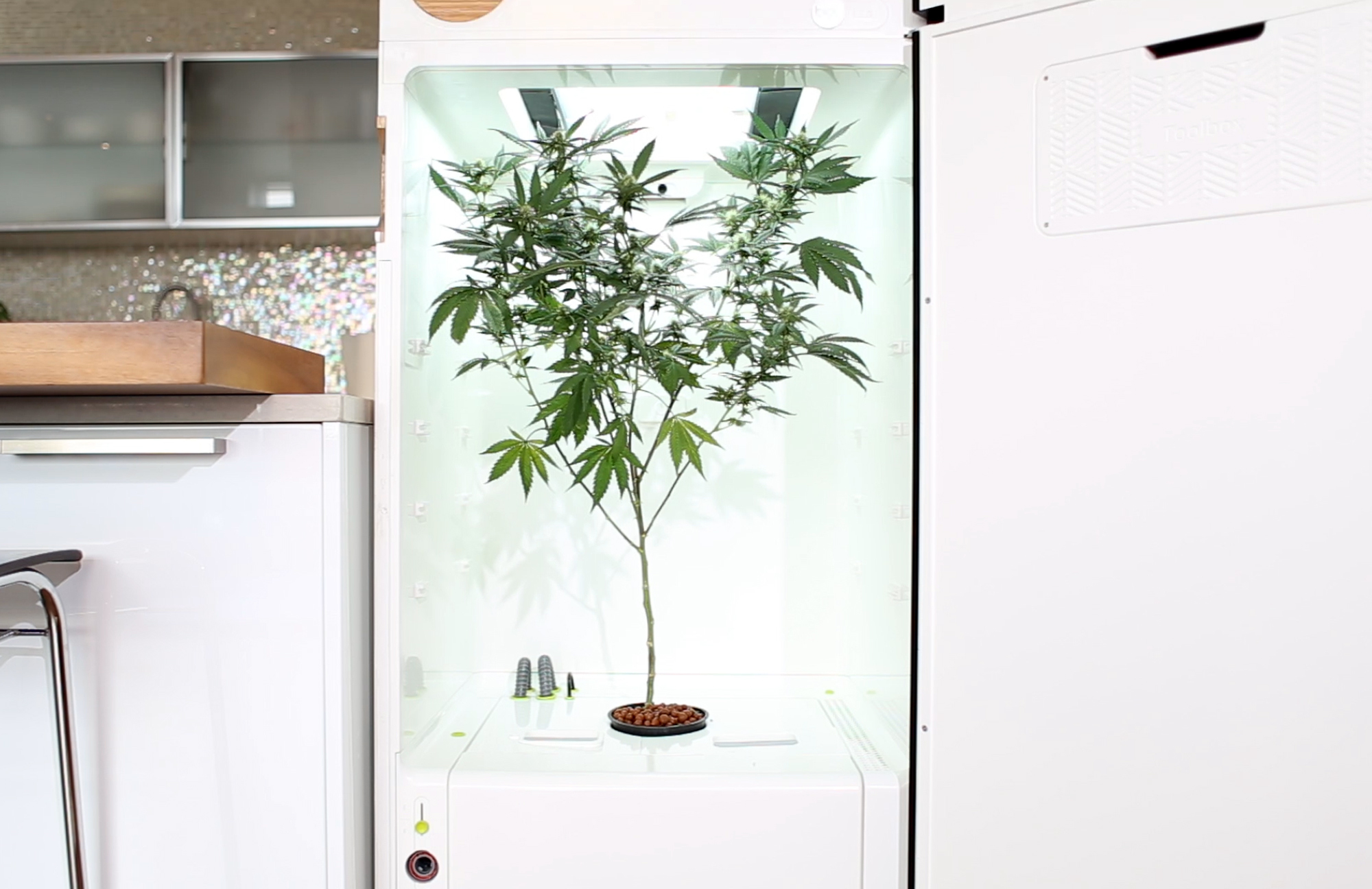 Grow Your Medicinal Weed in this Automated Fridge Inverse