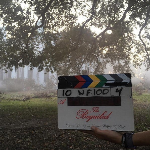 Sofia Coppola's 'The Beguiled'