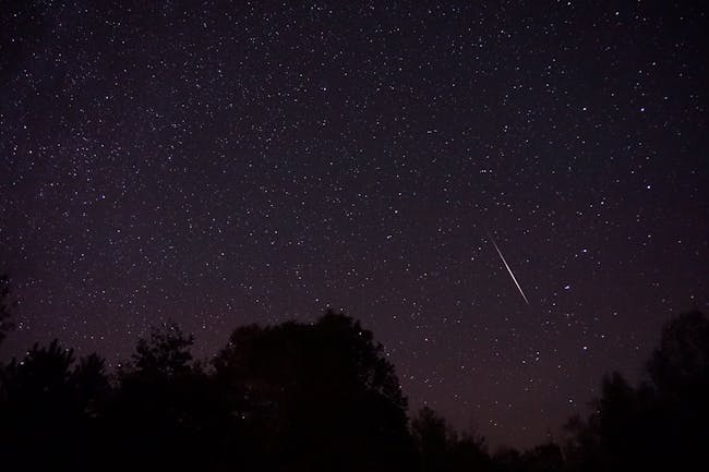 Orionid
