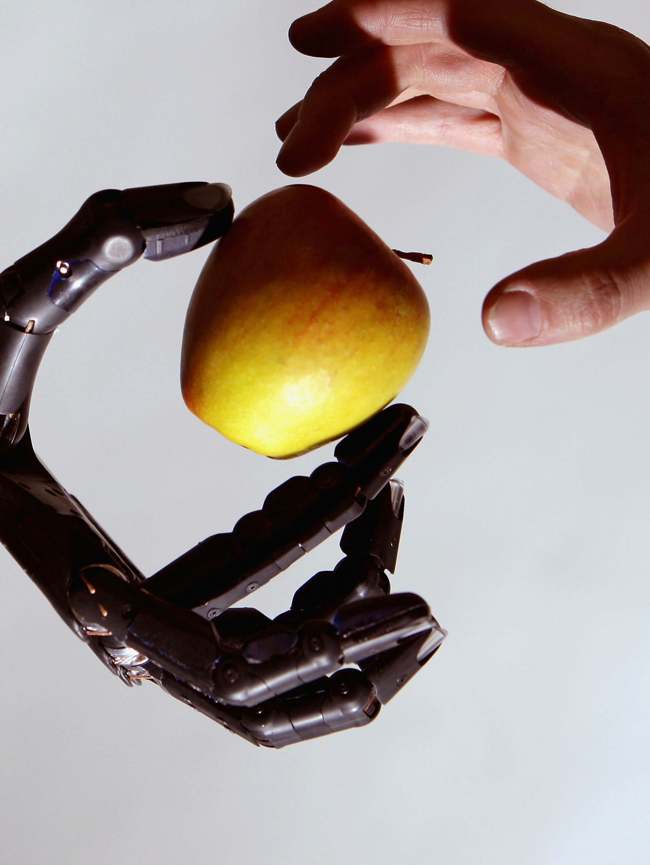 A Complete Guide to 'Alien' Xenomorph Biology | Inverse