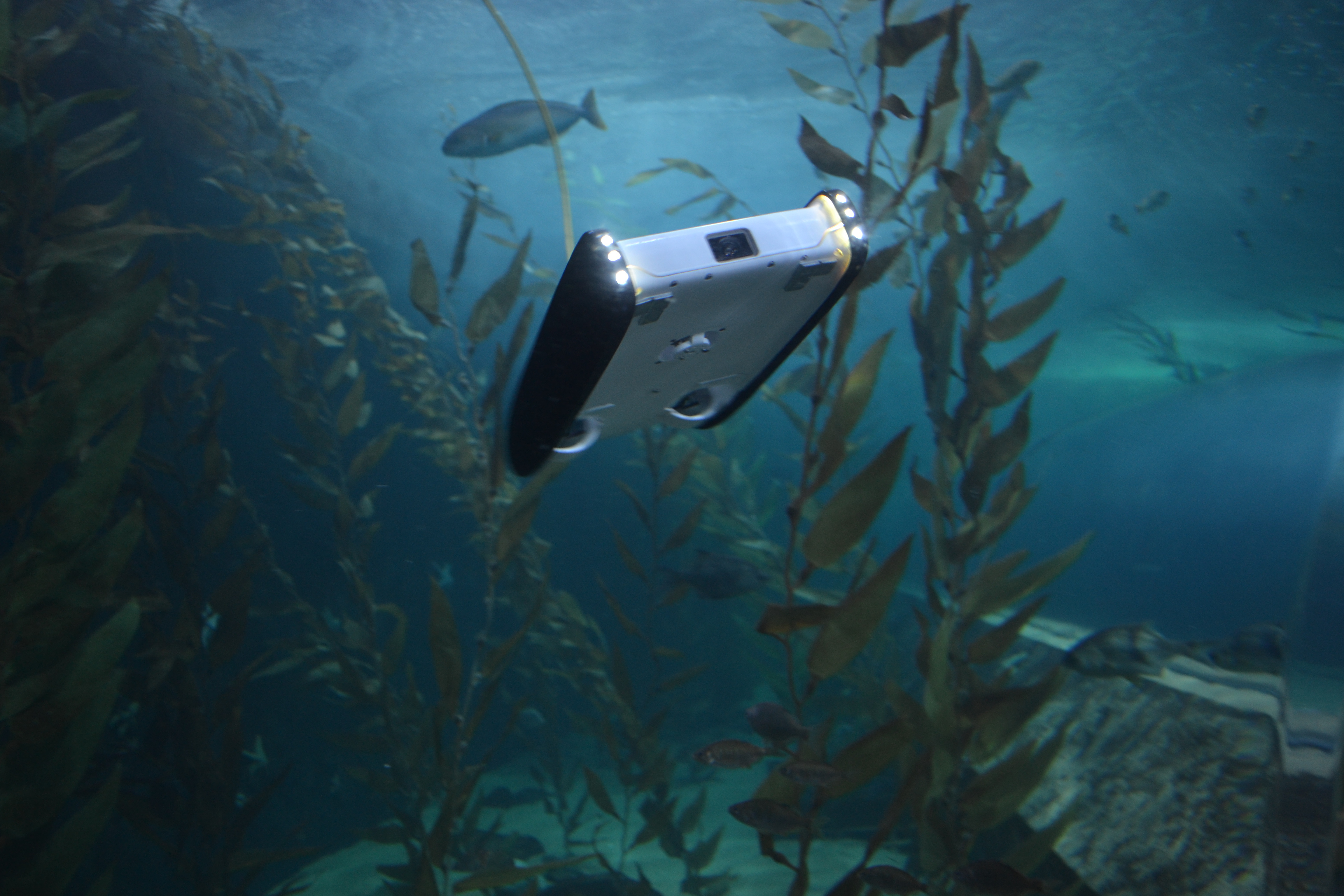 OpenROV Uses ConsumerFriendly Underwater Drones to Explore the Deeps