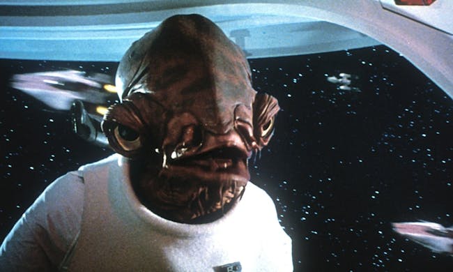 "It's a trap!"